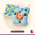Puzzle Interactivo Estrella - Nivel 2
